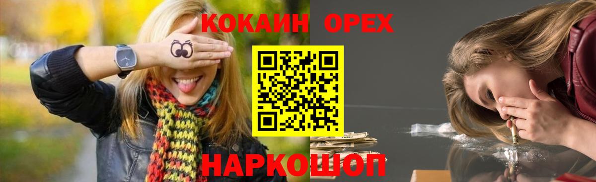 Сокол  COCAIN Fish Scale  Вход с VPN 