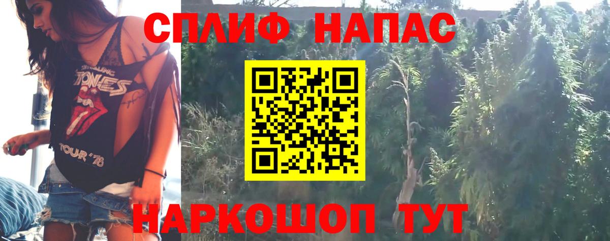 МАРИХУАНА конопля Сокол
